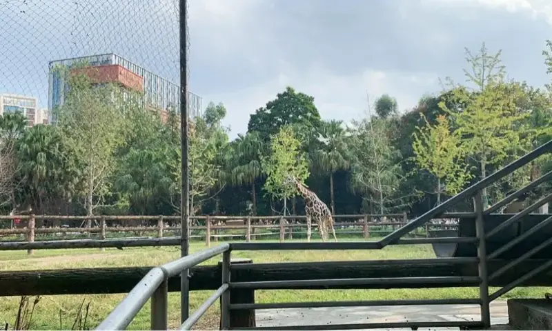动物园半日游