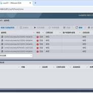 VMware vSphere 虚拟机的状态无效
