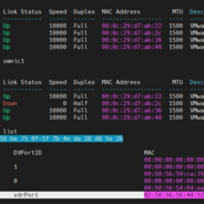 关于NSX-T上行链路的一些测试
