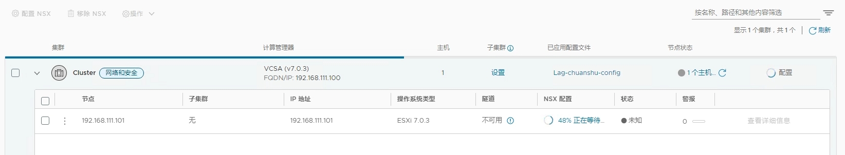 关于NSX的一些事儿