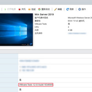 VMware Tools 不安全的文件处理漏洞 (CVE-2025-22247)  最佳解决方案