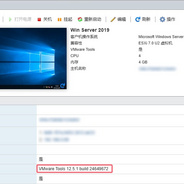 VMware Tools for Windows 认证绕过漏洞 (CVE-2025-22230) 最佳解决方案
